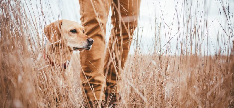 5 ways life insurance can help with inheritance tax