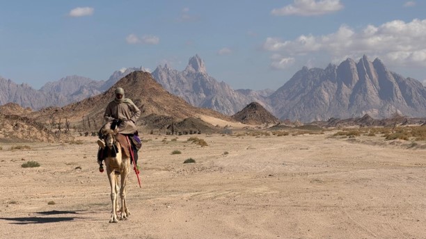 Rosie Stancer's Incense Route Expedition